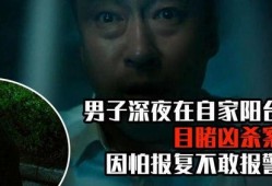 电影目击者在线观看,揭秘电影背后的真相